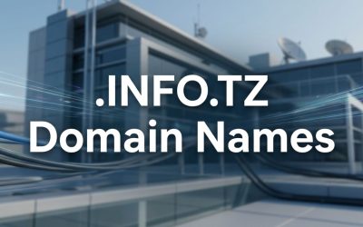.INFO.TZ Domain Names