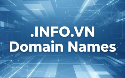 .INFO.VN Domain Names