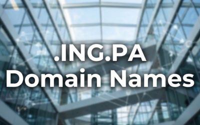 .ING.PA Domain Names