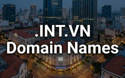 .INT.VN Domain Names