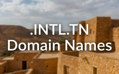 .INTL.TN Domain Names