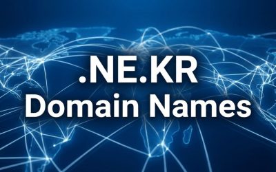 .NE.KR Domain Names