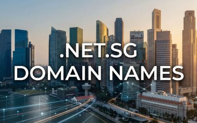 .NET.SG Domain Names