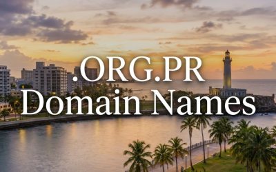 .ORG.PR Domain Names