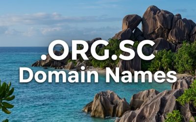 .ORG.SC Domain Names
