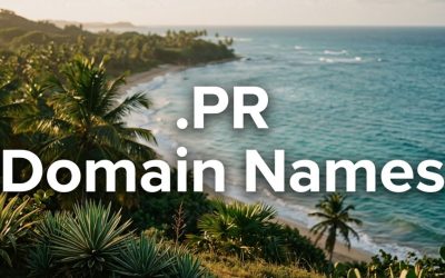 .PR Domain Names