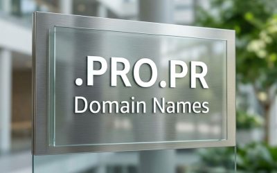 .PRO.PR Domain Names