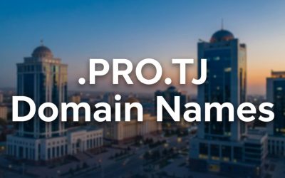 .PRO.TJ Domain Names