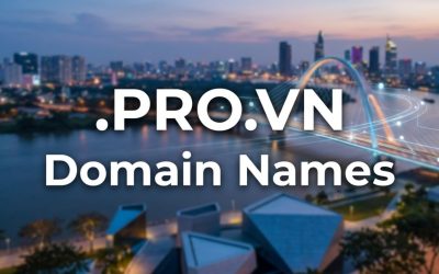 .PRO.VN Domain Names