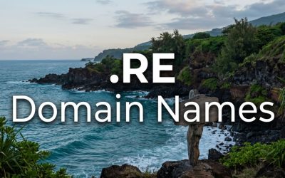 .RE Domain Names