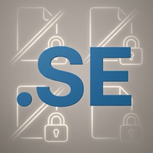 Reserved Names and Prohibited Terms of .SE Domain