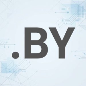 Role of the .BY Domain Registry