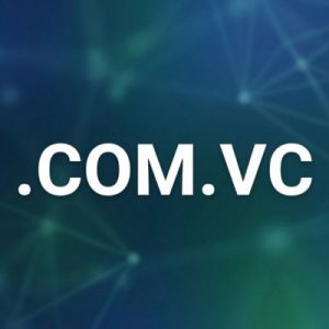 Role of the .COM.VC Domain Registry