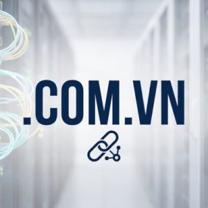 Role of the .COM.VN Domain Registry