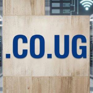 Role of the .CO.UG Domain Registry