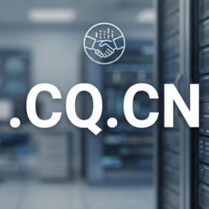 Role of the .CQ.CN Domain Registry