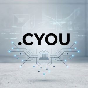 Role of the .CYOU Domain Registry