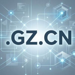 Role of the .GZ.CN Domain Registry