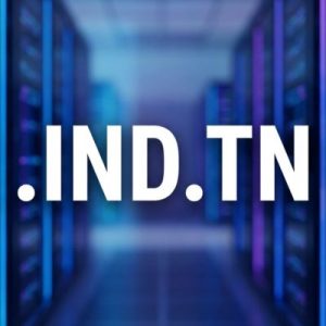 Role of the .IND.TN Domain Registry