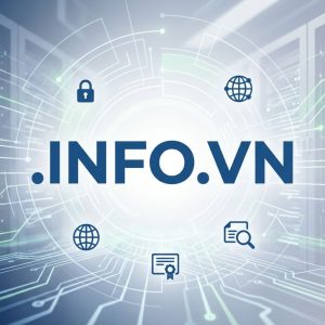 Role of the .INFO.VN Domain Registry