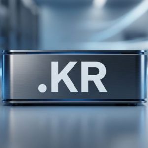 Role of the .KR Domain Registry