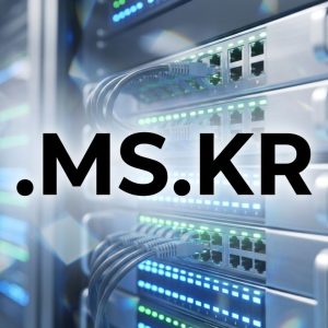 Role of the .MS.KR Domain Registry