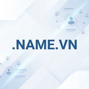 Role of the .NAME.VN Domain Registry