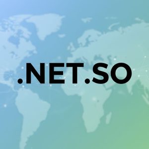 Role of the .NET.SO Domain Registry