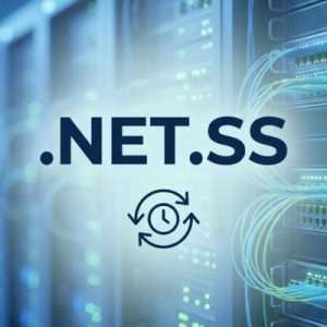 Role of the .NET.SS Domain Registry
