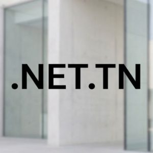 Role of the .NET.TN Domain Registry
