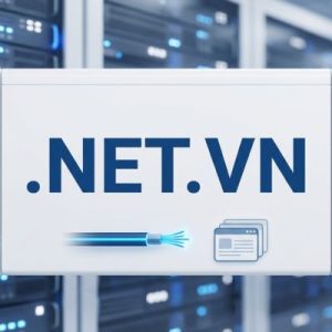 Role of the .NET.VN Domain Registry