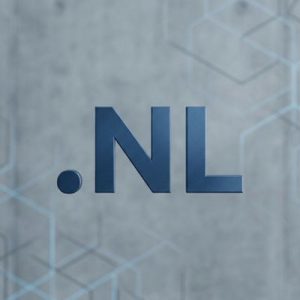 Role of the .NL Domain Registry