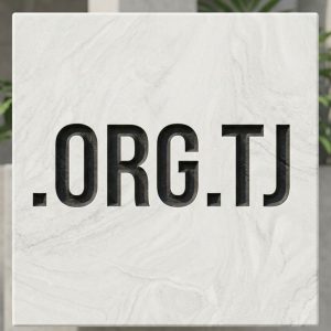 Role of the .ORG.TJ Domain Registry