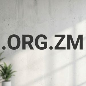 Role of the .ORG.ZM Domain Registry