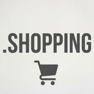 Role of the .SHOPPING Domain Registry