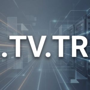 Role of the .TV.TR Domain Registry