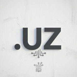 Role of the .UZ Domain Registry