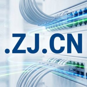 Role of the .ZJ.CN Domain Registry