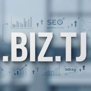 SEO and Marketing Advantages of .BIZ.TJ Domains