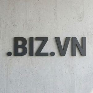 SEO and Marketing Advantages of .BIZ.VN Domains