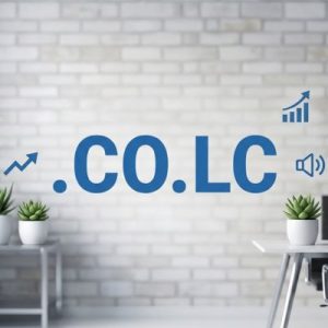 SEO and Marketing Advantages of .CO.LC Domains