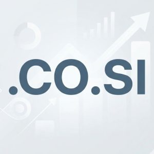 SEO and Marketing Advantages of .CO.SI Domains
