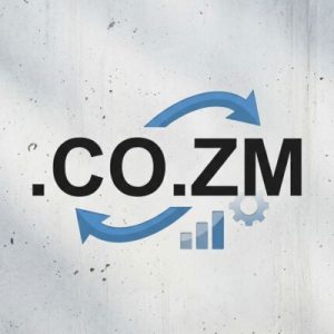 SEO and Marketing Advantages of .CO.ZM Domains