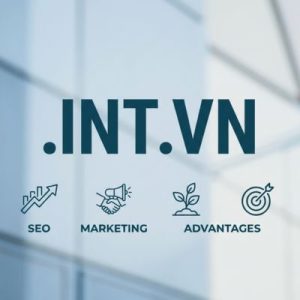 SEO and Marketing Advantages of .INT.VN Domains