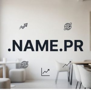 SEO and Marketing Advantages of .NAME.PR Domains