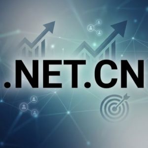SEO and Marketing Advantages of .NET.CN Domains