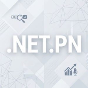 SEO and Marketing Advantages of .NET.PN Domains