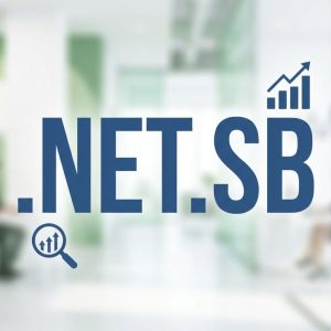 SEO and Marketing Advantages of .NET.SB Domains