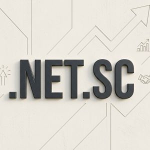 SEO and Marketing Advantages of .NET.SC Domains
