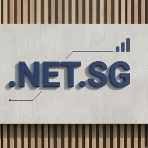 SEO and Marketing Advantages of .NET.SG Domains